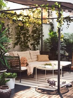 an outdoor living area with couches, tables and potted plants