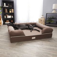 a large black dog laying on top of a brown and white bed in front of a window