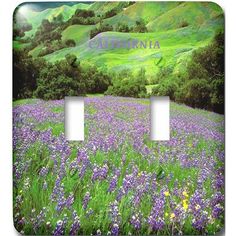 two toggles in the middle of a field of wildflowers and green hills