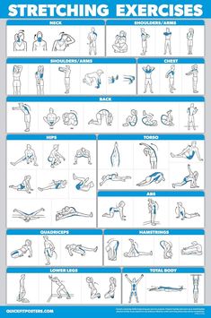 QuickFit Stretching Workout Exercise Poster - Double Sided (Laminated, 18" x 27") Best Stretching Exercises, Exercise Poster, Workout Posters, Workout Chart, Pose Yoga, Cycling Workout, Dumbbell Workout