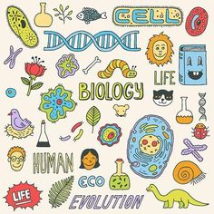 an illustrated poster with different types of animals and plants on it's sides, including words that read cell phone biology