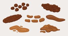 Is your poop healthy? Our poop chart covers different types of stool, how your diet may affect it and what to do if it's outside of the norm. Stool Chart, Bristol Stool Chart, Collagen Protein Bars, Making Medicine, Collagen Coffee, Good Gut Bacteria, Piece Of Pizza, Light Roast Coffee, Ginger Smoothie