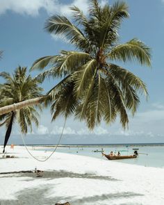 people are on the beach with boats in the water and palm trees hanging over them