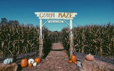 corn maze welcome sign surrounded by hay bales and pumpkins on the side walk