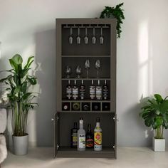 a shelf filled with bottles and glasses next to a potted plant in a living room