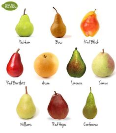 a group of different types of fruit on a white background with the names of them