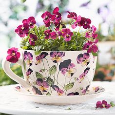 a cup filled with purple flowers sitting on top of a white table next to a potted plant