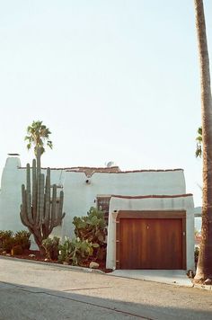 a house with cactus and cacti in front of it