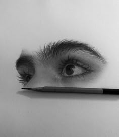 a pencil drawing of an eye with the tip of it's nose sticking out