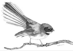 a black and white drawing of a bird on a branch