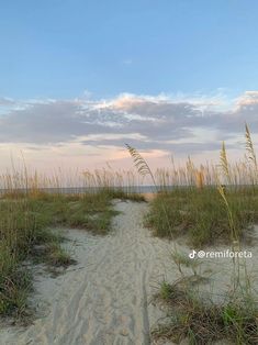 a sandy path leading to the beach with sea oats in the foreground and clouds in the background