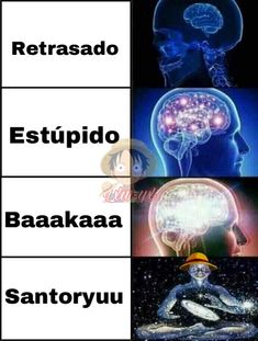 four different types of brain images with caption in spanish, english and japanese words