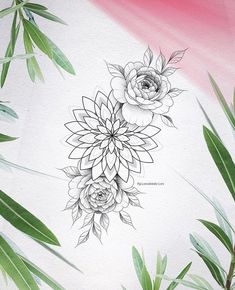 a drawing of flowers and leaves on a white paper with pink sky in the background