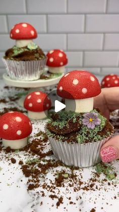 cupcakes with mushrooms and moss on them are being made by someone's hands