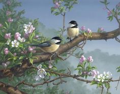 two birds are perched on a branch with pink and white flowers in the foreground