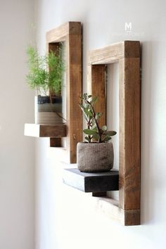 three wooden frames with plants in them hanging on the wall