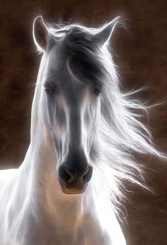 a white horse with long hair standing in front of a brown background