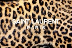 Classy Wallpaper Aesthetic, Saint Laurent Wallpaper, Saint Laurent Aesthetic, Sade Aesthetic, Leopard Aesthetic, Brand Wallpaper