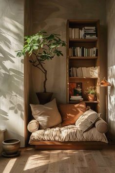 a living room with a couch, bookshelf and potted plant in the corner