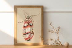 a painting of a moth on a white wall next to a vase with dried flowers