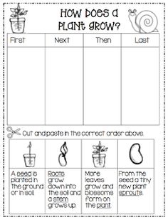 the plant growth worksheet for kids to learn how to grow and use it