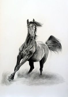 a black and white drawing of a horse running in the grass with it's front legs spread out