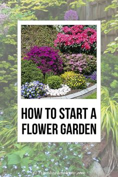 Gardening 101: How to Start a Flower Garden