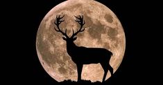 the silhouette of a deer standing in front of a full moon with antlers on it