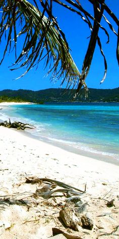 the beach is clean and clear for us to see