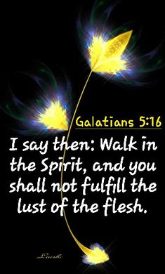 a flower with the words galatians 516 i say then walk in the spirit and you shall not fulfill the lust of the flesh