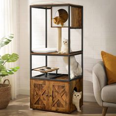 two cats sitting on top of a wooden shelf