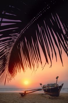 a boat sitting on top of a sandy beach under a palm leaf covered tree at sunset