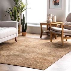 a living room filled with furniture and plants