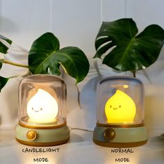 three different types of lamps with faces on them and plants in the back ground behind them