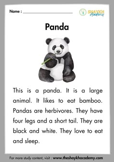 a panda is holding a bamboo plant in its paws with the words panda on it