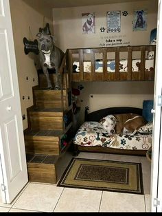 bunk beds in a closet for dogs. A dog bedroom Home With Dogs Ideas, Big Dog Room Ideas, Dogs Room Ideas Bedrooms, Dog Crate Bunk Beds, Cat And Dog Room Ideas, Big Dog Beds In Bedroom, Pet Sleeping Area, Dog House Inside Home, Bedroom Ideas With Dogs