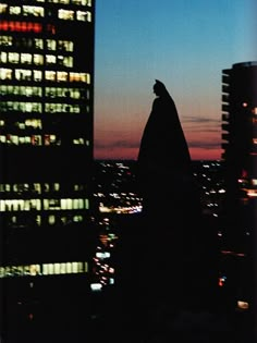 the silhouette of a batman standing on top of a tall building at night with city lights in the background