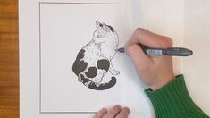 a person is drawing a cat on paper