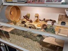 a display case filled with lots of different types of animals in it's habitat