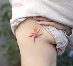 a colorful bird of paradise tattoo on the back of a woman's left thigh