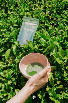 a person holding a bowl with green liquid in it on top of some bushes and leaves