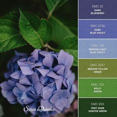 the color scheme is blue and green with purple flowers on each side, along with dark green leaves