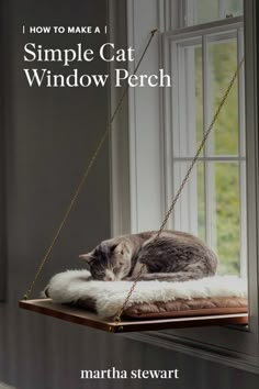 a cat laying on top of a window sill in front of a window frame