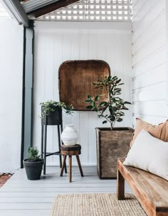 a room with white walls and wooden floors has plants on the wall, potted plants in pots, and a wicker basket hanging from the ceiling