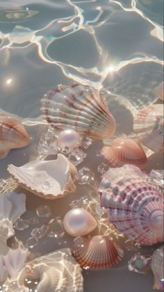 many seashells and pearls floating on the water