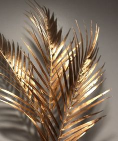 a close up of a plant on a white surface with gold foiled leaves in the foreground