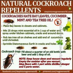 the natural cockroach repellents are available for purchase on this page, and they