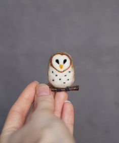 a small white and brown owl sitting on top of a wooden stick in someone's hand