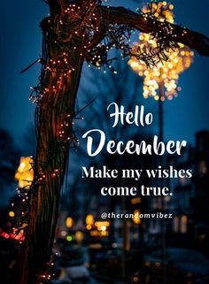 a tree with lights on it and the words hello december make my wishes come true