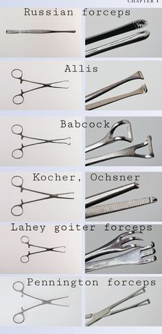 the different types of scissors are shown in this image, and each has their own name on it